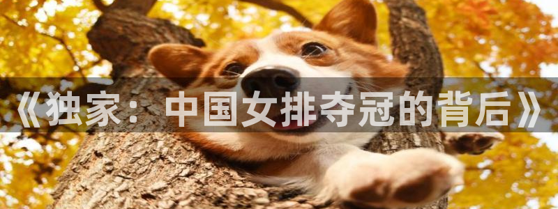 《独家：中国女排夺冠的背后》
