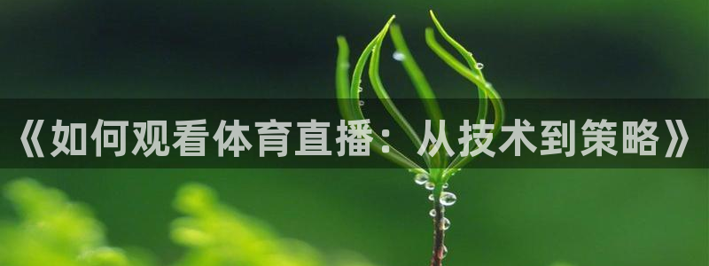 新闻图片