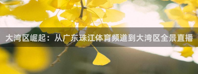 大湾区崛起：从广东珠江体育频道到大湾区全景直播