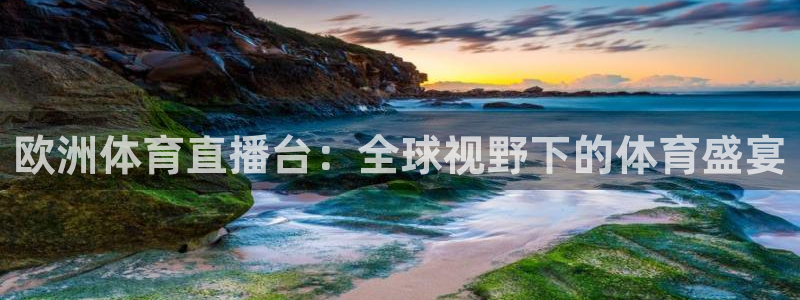 欧洲体育直播台：全球视野下的体育盛宴